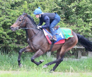 Dancinginthewoods - runs at Leicester