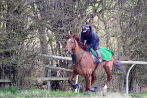 Flaming Spear - runs at York