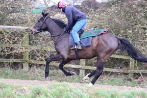 Pledge Of Honour - supported at Kempton