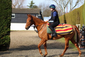 Soaring Spirits in the trotting ring 20 Feb 2021 (web site)