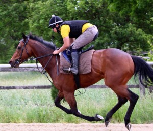 Stake Acclaim - runs at Windsor