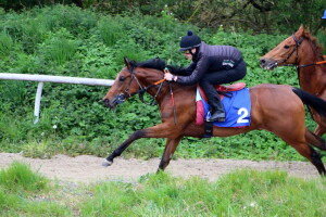 Twilight Son filly pulling clear of older horse 13 May 2021