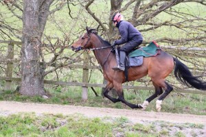 Yimou - seasonal reappearance at Newmarket