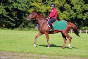 Flaming Spear - runs at Kempton