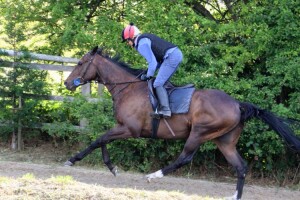 Pledge Of Honour - runs at Lingfield