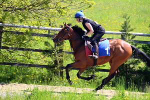Twilight Bay cantering on her Naming Day