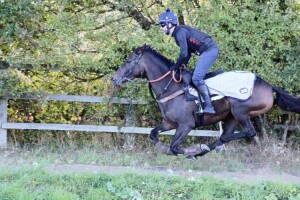 Laurentia - runs at Wolverhampton