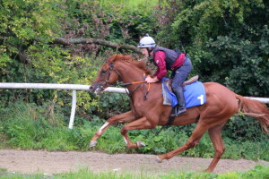 Tamayuz x Pin Cushion working yesterday
