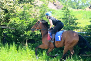Twilight Bay - one quarter share available