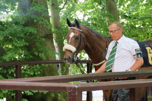 Yimou - each-way chance at Windsor