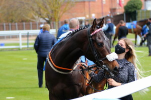 Drew leading Woody in the paddock