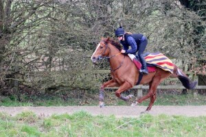 Moonlit Cloud - goes handicapping at Chelmsford