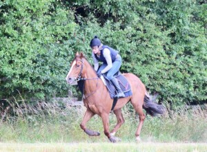 Nezar - each-way player at Kempton