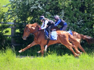 Tamayuz upsides Thomas Equinas 1 June 2021
