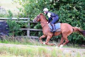 Hot Chesnut - runs at Kempton tonight