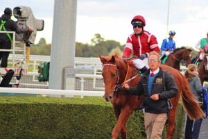 Sharp Distinction - favourite at Kempton