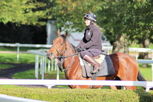 Twilight Bay - makes debut at Chelmsford