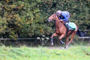 Charming Kid - runs at Southwell