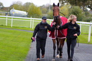 Twilight Bay - runs at Kempton
