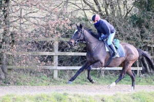 Pledge Of Honour - favourite at Chelmsford (7pm)