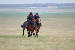 Buratino 2yo (nearside) joins up