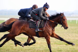 Buratino 2yo pointing his toe