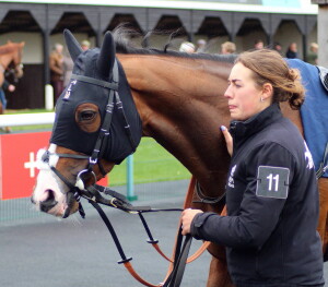 Raqisa in the paddock