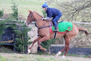 Hot Chesnut - each-way claims at Leicester