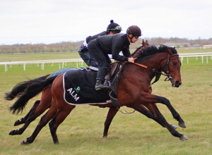 Taritino working upsides a 2yo Muharrar colt