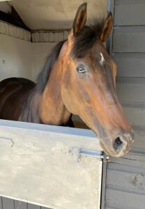Dancinginthewoods in his new home
