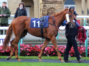 Sharp Distinction - eqch-way chance at Kempton