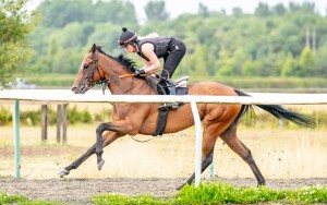 Twilight Bay - runs at Chelmsford