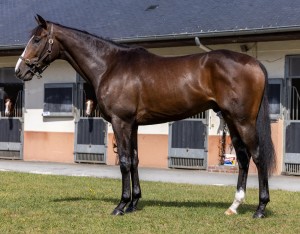 Victoire Magique - runs at Lyon