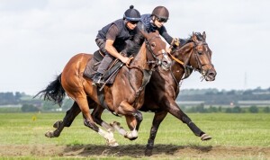 Dreams Of Thunder - (nearside) runs at Haydock