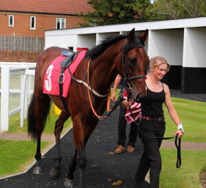 Taritino - returns to Redcar