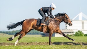 Ipanema Princess - runs at Deauville