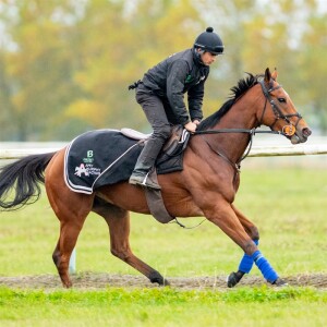 Ehrmann - runs at Southwell