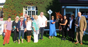 Sharp Distinction with Amy Murphy & Owners