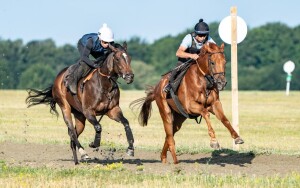 Sharp Distinction (right) runs at Sandown Park