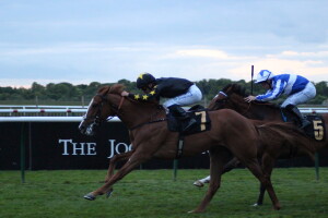 Tarbaan - runs at Wolves tonight