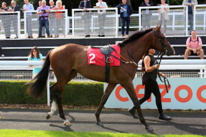Awtaad Prince - runs at Southwell