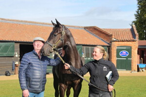 Al Wukair colt getting to know Racing Manager & Trainer