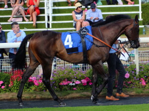 Woody - runs at Kempton