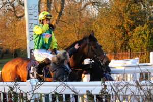 Golden Mayflower - runs at Kempton