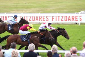 Fillyfudge (nearside) getting up for second