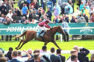 Sharp Distinction - favourite at Yarmouth
