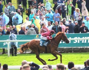 Sharp Distinction heading for third
