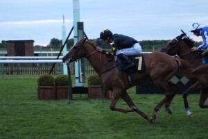 Tarbaan - runs at Newmarket