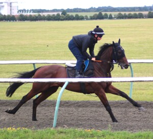 Taritino - ground a concern at HQ