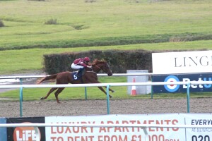 Sharp Distinction heading for victory